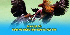 Đá Gà Cựa Sắt - Khám Phá Những Trận Tranh Tài Kịch Tính 10 Đá gà cựa sắt độc quyền tại cổng cược Jun88