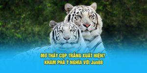 Mơ Thấy Cọp Trắng Xuất Hiện? Khám Phá Ý Nghĩa Với Jun88 4 Mơ thấy cọp trắng là điềm gì? Đánh số mấy để trúng?