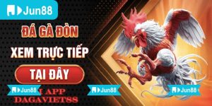 App đá gà trực tiếp Jun88 chất lượng HD hỗ trợ đặt cược dễ dàng 9 Ứng dụng hỗ trợ mọi thao tác từ xem trận, xem kèo đến theo dõi kết quả dễ dàng
